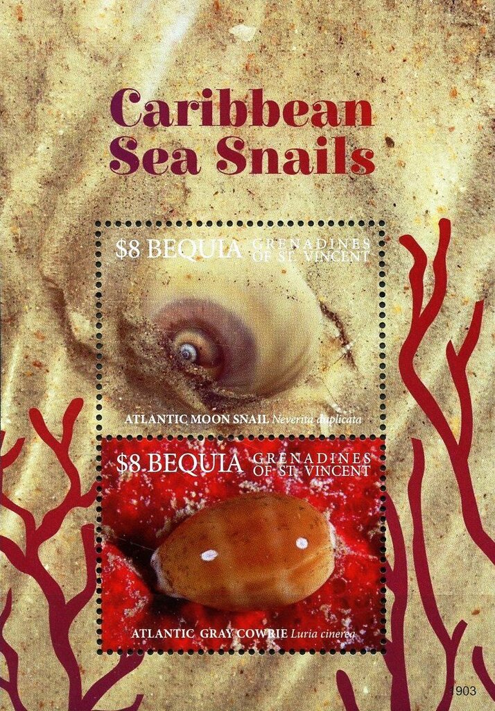 Sea Snails