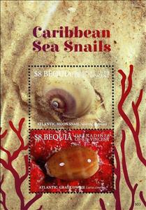 Souvenir Sheet, Sea Snails, Saint Vincent Grenadines,  , Animals (Fauna), Snails and Slugs