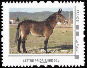 Stamp, Mule, France,  , Animals (Fauna), Donkeys, Mammals