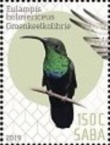 Birds of Saba