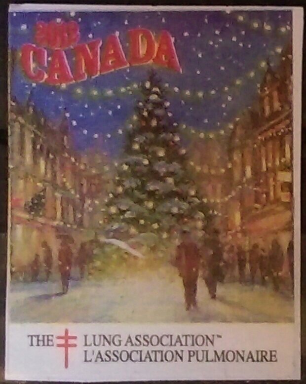 Lung Association Christmas Lights
