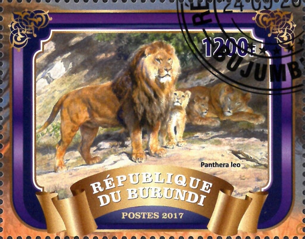 Panthera Leo