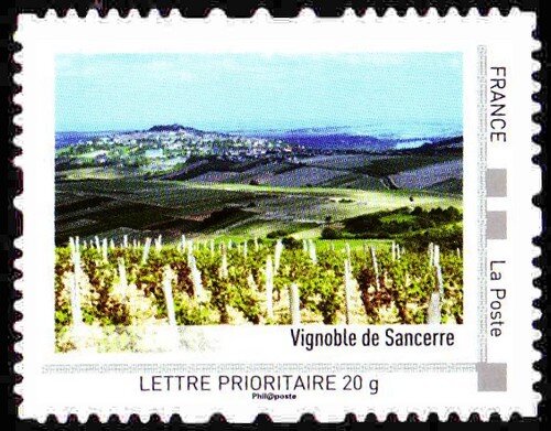 Sancerre wineyards