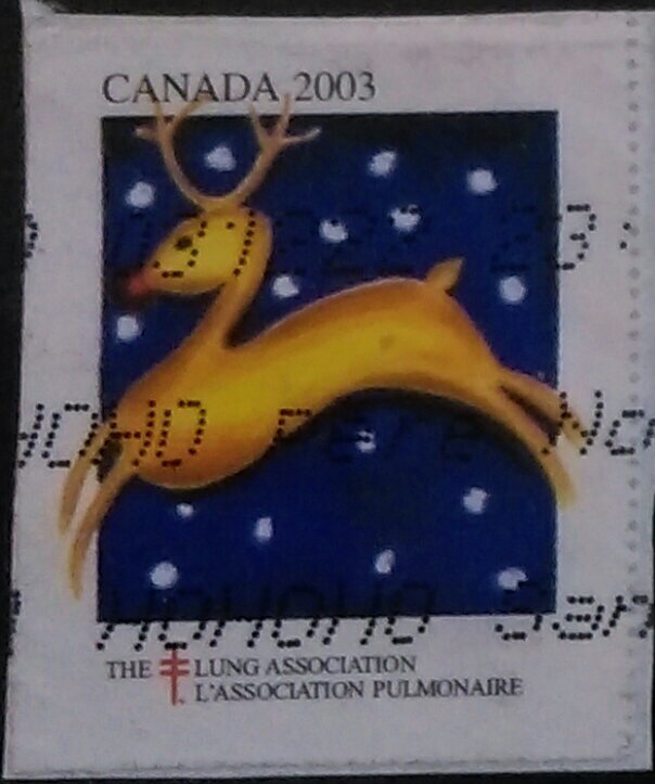 Lung Association. Reindeer Leaping