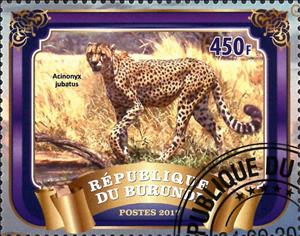 Stamp, Acinonyx Jubatus, Cinderellas,  , Animals (Fauna), Mammals