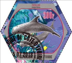 Stamp, Grampus Griseus, Cinderellas,  , Animals (Fauna), Dolphins, Mammals