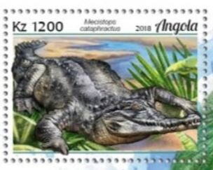 Mecistops cataphractus