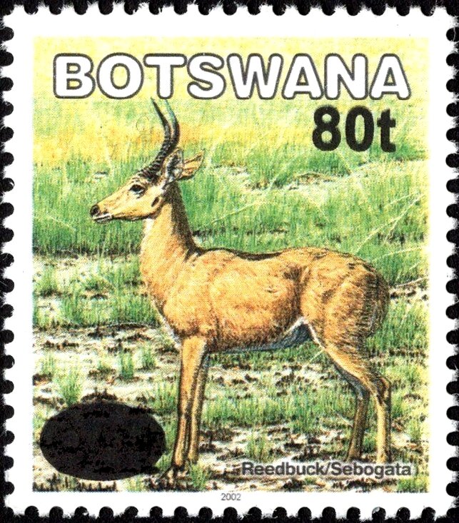 Southern Reedbuck (Redunca arundium) Surcharged