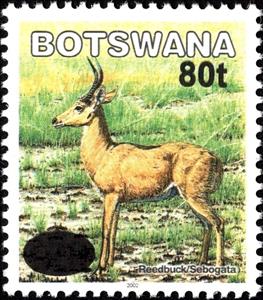 Stamp, Southern Reedbuck (Redunca arundium) Surcharged, Botswana,  , Animals (Fauna), Antelopes, Mammals