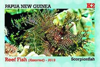 Rhinopias