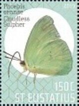 Butterflies of St Eustatius