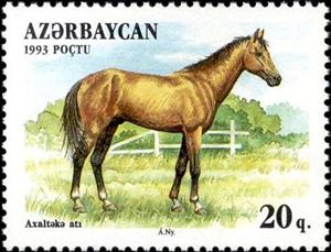 Stamp, Akhalteka Horse (Equus ferus caballus), Azerbaijan,  , Horses
