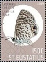 Butterflies of St Eustatius