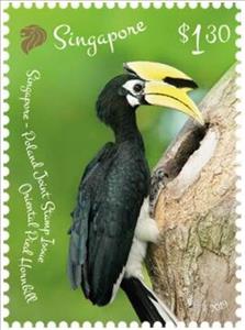 Stamp, Oriental Pied Hornbill, Singapore,  , Birds, Joint Issues