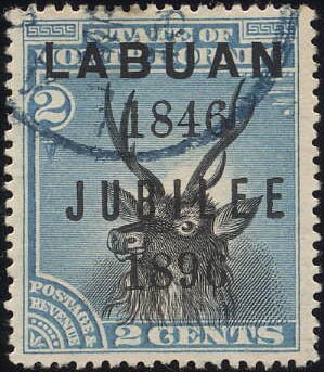 Sambar Deer (Cervus unicolor)