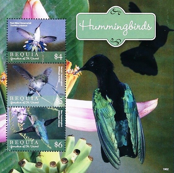 Hummingbirds