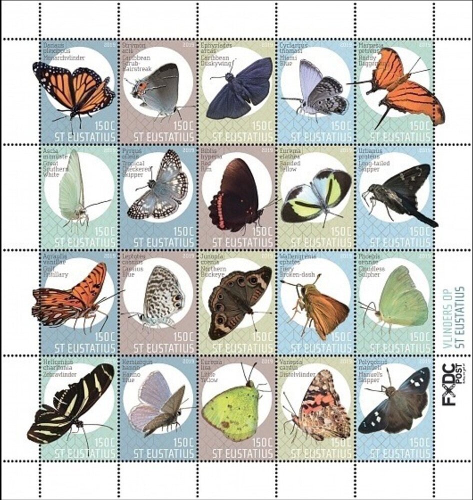 Butterflies of St Eustatius