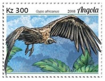 Stamp, Gyps africanus, Angola,  , Animals (Fauna), Birds, Birds of Prey, Vultures
