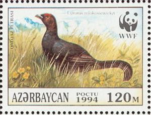 Stamp, Caucasian Grouse (Lyrurus mlokosiewiczi), Azerbaijan,  , Birds, WWF