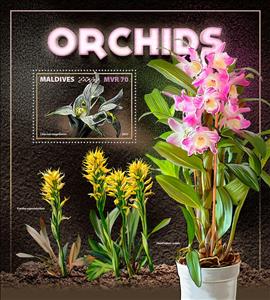 Souvenir Sheet, Orchids, Maldives,  , Flowers, Orchids, Plants (Flora)