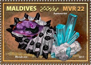Stamp, Morula uva, Aquamarine, Maldives,  , Animals (Fauna), Minerals, Shells