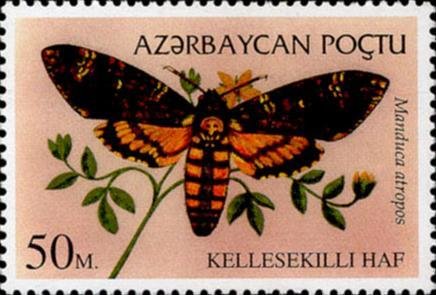 Stamp, Death's Head Hawk Moth (Acherontia atropos) , Azerbaijan,  , Insects, Butterflies, Animals (Fauna)