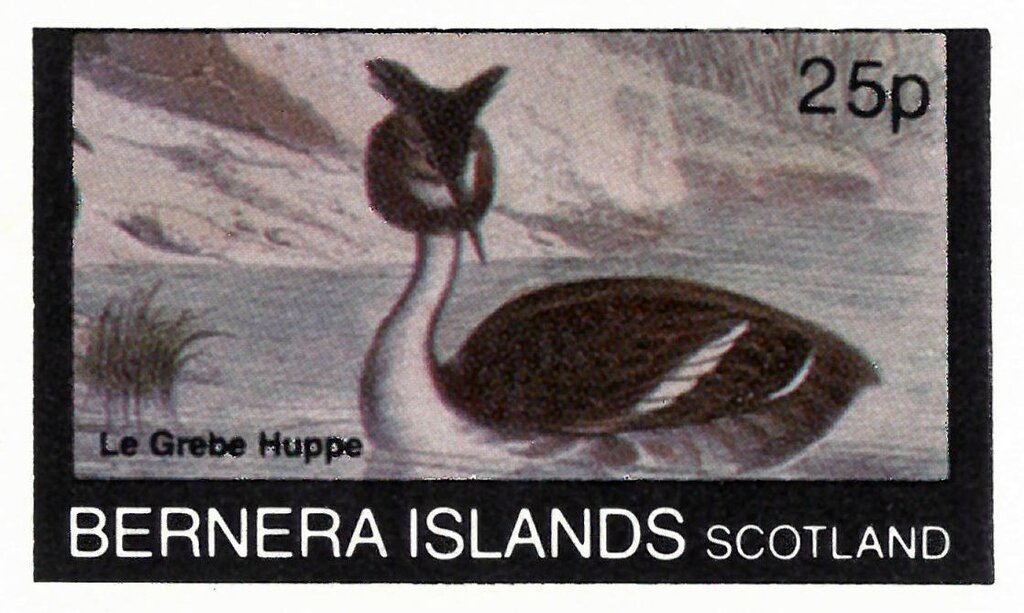 Le Grebe Huppe
