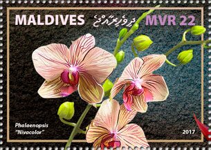 Stamp, Phalaenopsis "Nivacolor", Maldives,  , Flowers, Orchids, Plants (Flora)