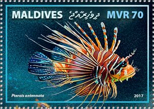 Stamp, Broadbarred Firefish (Pterois antennata), Maldives,  , Animals (Fauna), Sea Life