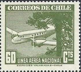 Plane and Tree