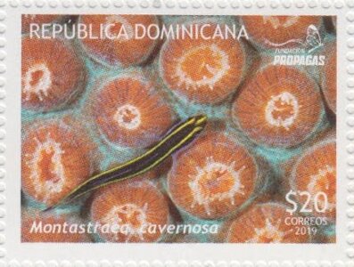 Stamp, Corals, Dominican Republic,  , Corals and Sponges