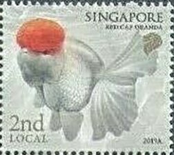 Stamp, Redcap Oranda, Singapore,  , Animals (Fauna), Fishes