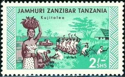 Fruit cultivation and harvest