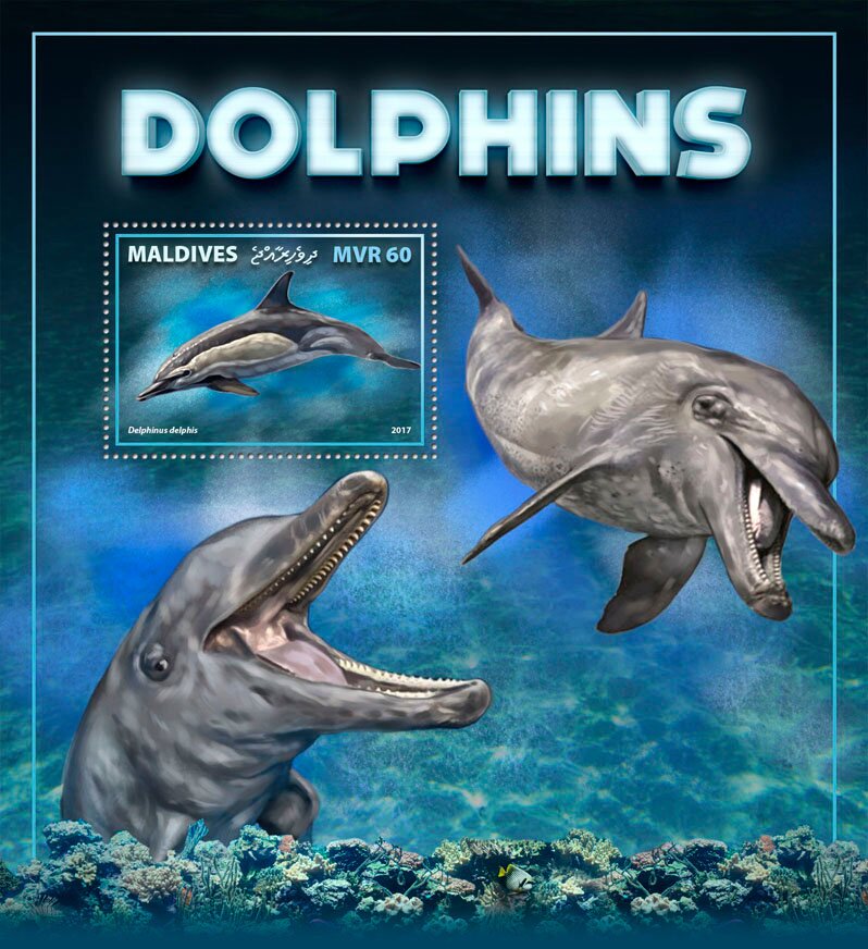 Dolphins