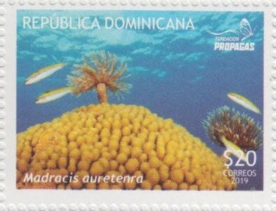 Corals