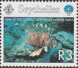 Pterois sp.