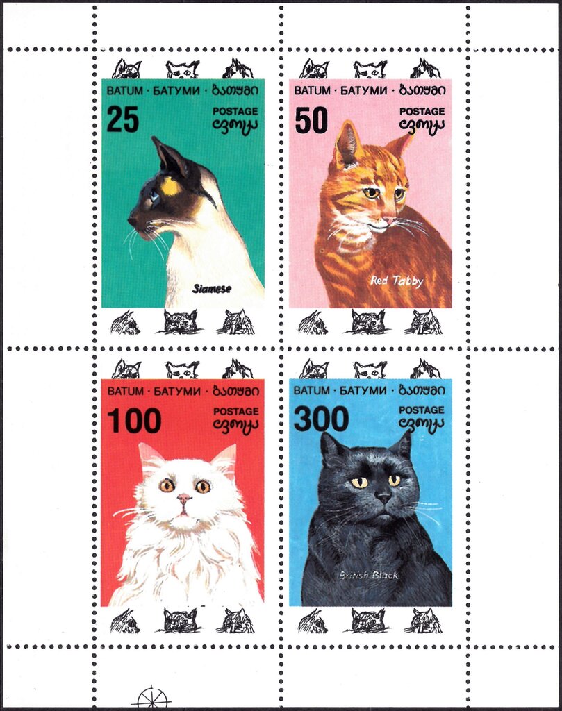 Cats