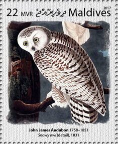 Stamp, "Snowy Owl" (detail, 1831), by John James Audubon, Maldives,  , Animals (Fauna), Birds, Owls
