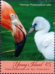 Stamp, Phoenicoptrus ruber, Saint Vincent Grenadines,  , Animals (Fauna), Birds, Flamingos