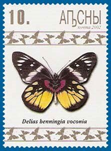 Delias henningia voconia