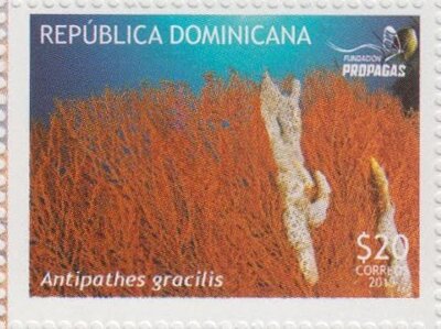 Stamp, Corals, Dominican Republic,  , Corals and Sponges