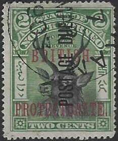 Sambar Deer (Cervus unicolor) Overprinted Vertical