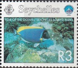 Acanthurus leucosternon