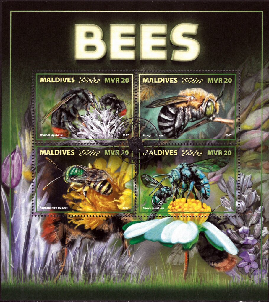 Bees