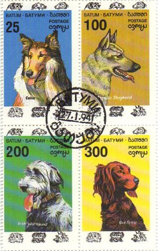 Dogs