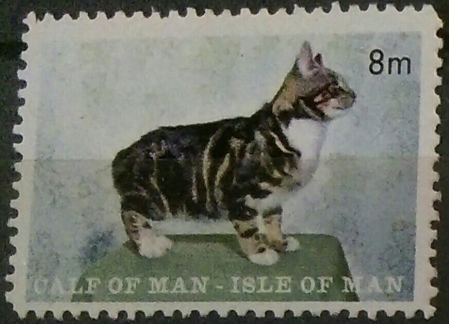 Manx Cat
