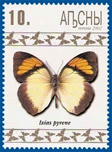 Ixias pyrene