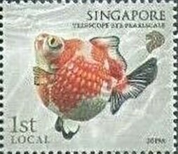 Stamp, Telescope Eye, Singapore,  , Animals (Fauna), Fishes