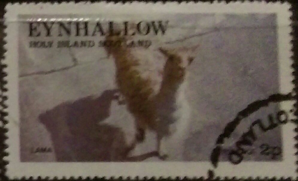 Llama