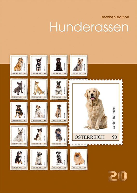 Dogs